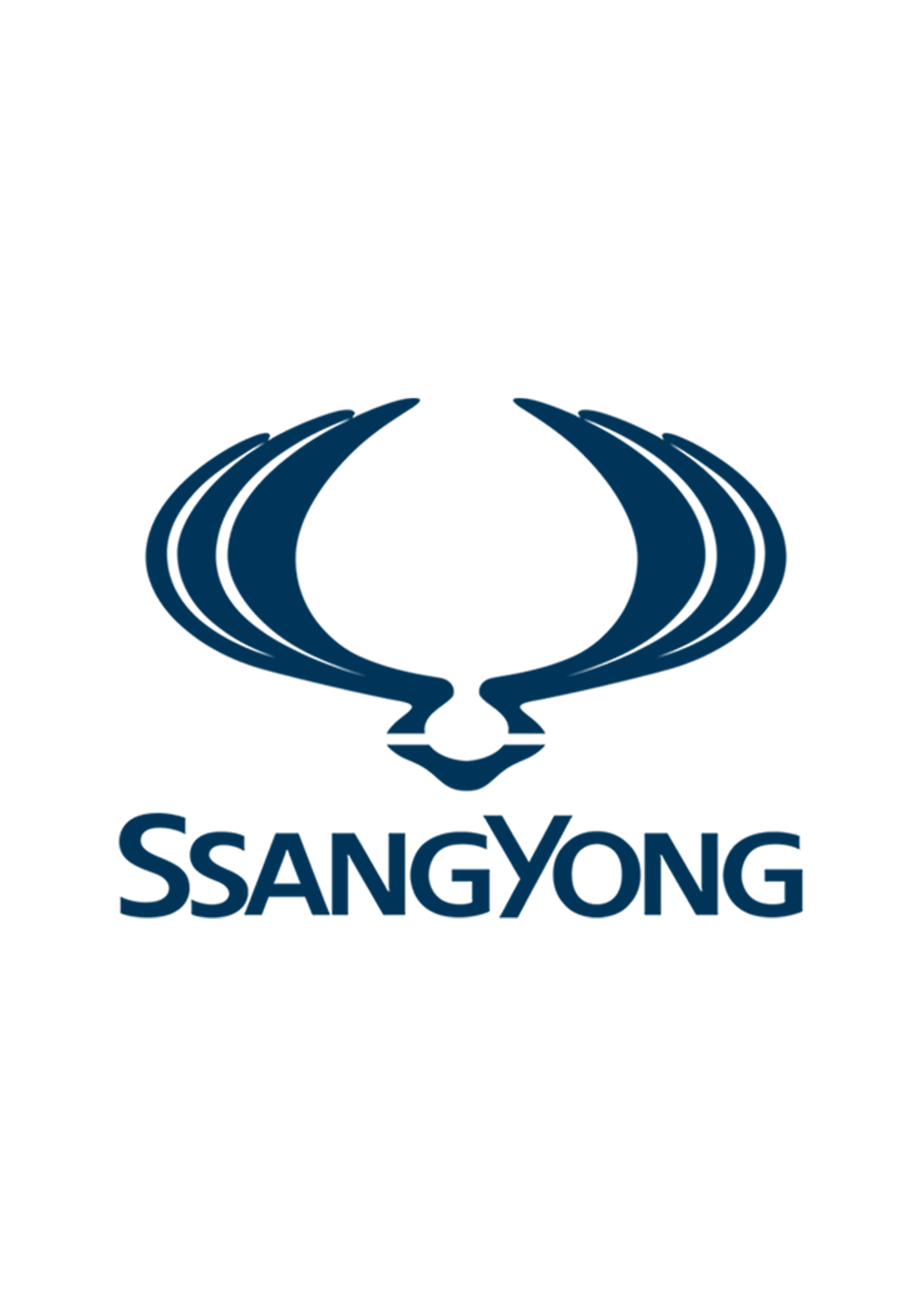 Ssangyong | Orjinal